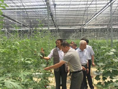袁文先將軍深入三明調研，為扶貧改革與種植技術發展注入新動能